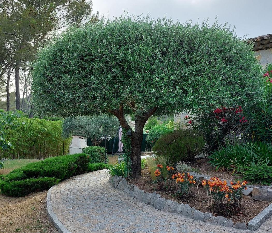 Gite Les Pins Climatise Piscine Chauffee Jardin Peymeinade المظهر الخارجي الصورة