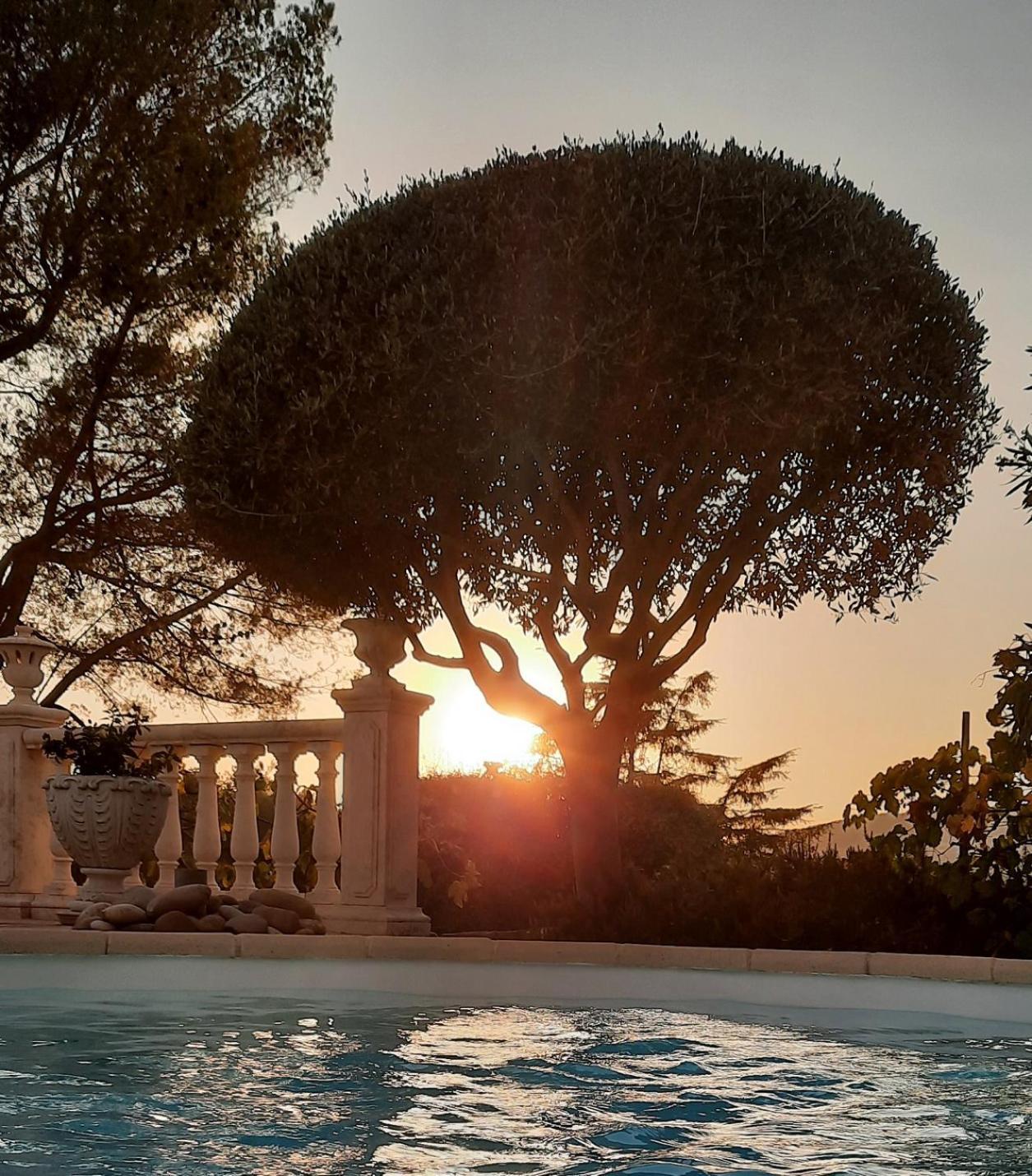 Gite Les Pins Climatise Piscine Chauffee Jardin Peymeinade المظهر الخارجي الصورة